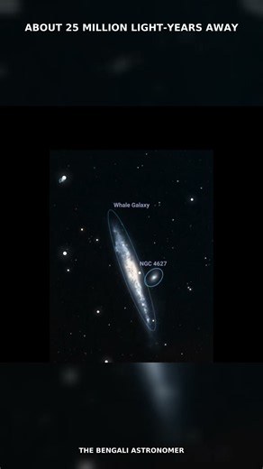 This Galaxy Looks Like a WHALE! 🐋🌌 | NGC 4631 #shorts