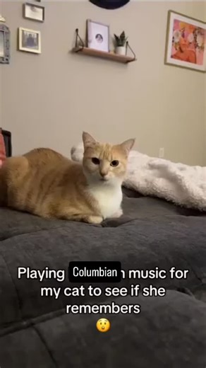 Jack Ryan on Instagram: "I wish handymen were more relevant in infinite since you only really fight them once or twice and they dont have much variety in the way they fight. Maybe if they had construction weapons like big wrenches or welding torch flamethrowers. #stayspliced"