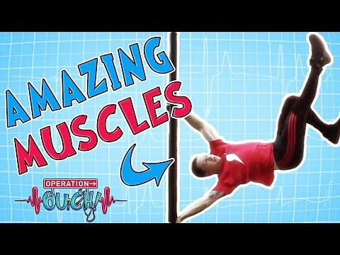 Operation Ouch - Massively Mighty Muscles
