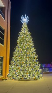 Walking ‘round a winter wonderland. FestiBull of Lights Grand Opening Weekend is this week from November 20-23! We’ll also be open November 26-January 3 with thousands of holiday lights, rides on the NC By Train Holiday Express, visits with Santa and Wool E. Claus, and more. Get your tickets here: https://cbc-events.com/event/festibull-of-lights-an-immersive-light-experience/ | Durham Bulls Baseball Club