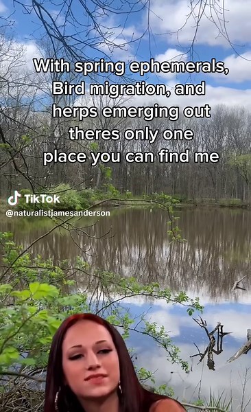 Spring time is my favorite time of year! With spring ephemerals coming out of the ground, bird spring migration, and herps emerging out of their slumber, it’s a wonderful time to be outside! #CapCut #nature #spring #catchmeoutside #meme