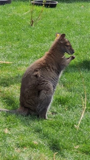 Turtle Back Zoo - SUMMER ➕ZOO ➕ LATE HOURS ➕ $12...