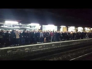 Oasis live wonderwall.