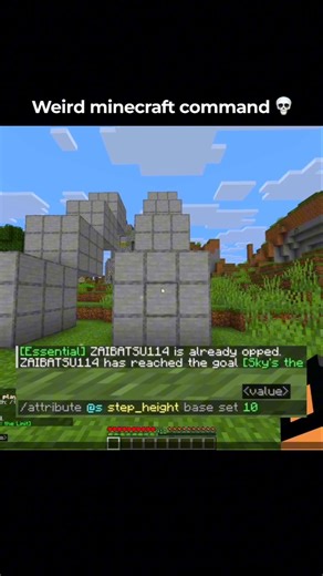 Minecraft Weird Command Moment