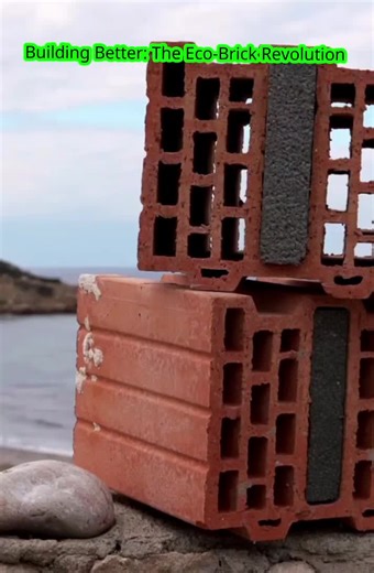 Building Better: The Eco-Brick Revolution