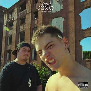 Crowye, Porcea - DDSC