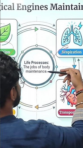 Life Processes Class 10 Science | CBSE