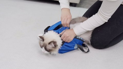 Supet Cat Carrier Pouch, Soft Cat Sling Carrier, Breathable Cat Restraint Bag for Vet Visits, Cutting Nails, Grooming, Medication, Travel (Blue,S)