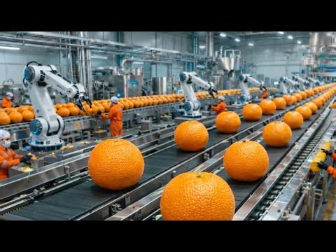 Inside a Modern Orange Juice Factory: From Farm to Delicious Drink (The Whole Process) | l