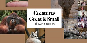 Replay - Creatures Great and Small