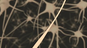 Three modes of vesicle exocytosis at central excitatory synapses