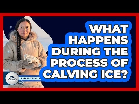 What Happens During The Process Of Calving Ice?