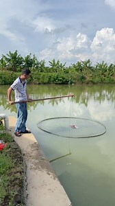The ancient way of fishing with nets in the countryside #fishing #fish #fishtrip #農村生活 | Luong Yen Anh