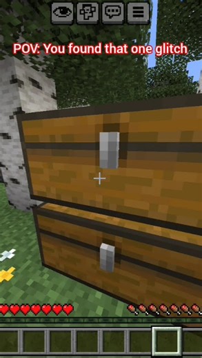 MINECRAFT 👀 #minecraft #glitch #duping