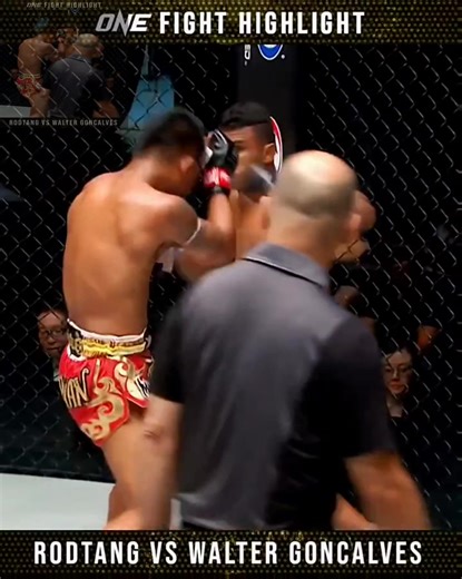 #boxing#tyson#拳击#泰森