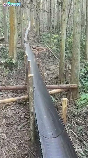 Logs on a Rollercoaster! Installing Gravity Slides for Crazy Fast Timber Transport.