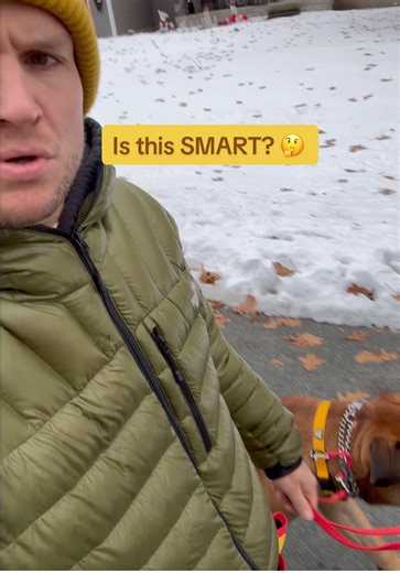 Is having your dog off-leash irresponsible? 🚫🦮 There is a lot of controversy around this topic. Here is my take: It is okay to have your dog off-leash, BUT only if you have absolute control. You must have the ability to recall your dog at any moment, under any circumstance. If you don’t have that 100% reliability, keep the leash on. What is your opinion? Let me know👇 #dogs #dogtraining #dogtrainingtips #reactivedog #tomdavis