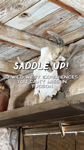 49K views · 626 reactions | Giddy up to Tucson, partner!  If...