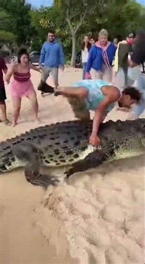Ep 59: Funny Crocodile Moments That Will Make You Laugh 🐊🐊🐊 #FunnyCrocodile #PetCrocodile