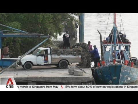 Thailand's fishing industry under strain as soaring fuel prices keep boats docked