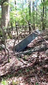 231K views · 4.9K reactions | 181-Year-Old History Forgotten in the Woods! #reels #old #cemetery #found #lost #woods | Adventures Into History | Facebook
