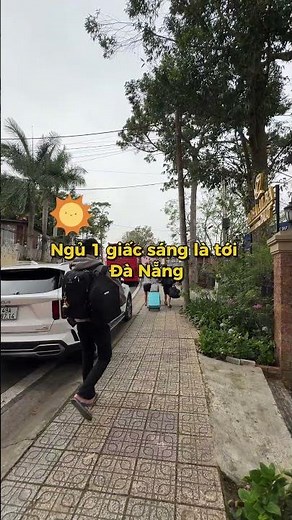 Đặt vé xe từ Đà Lạt đi Đà Nẵng với nhiều ưu đãi hấp dẫn tại Vexedi #xedalatdangnang #dalatdidanang