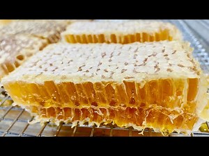 Cutting Comb Honey— The New Pierce Comb Honey Cutter!!!