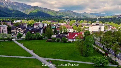 Białowieża Forest Wildlife from the Sky