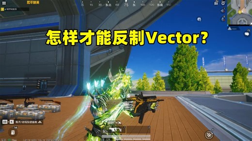 怎样才能反制Vector？掌握这3点，Vector随便打！