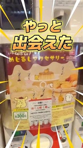 Finally found the Pompompurin marker accessory #Sanrio #sanrio #Pompompurin #shorts