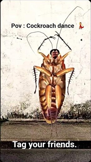 Cockroach dancer 🪳 #dance #cockroach #funny #ai #shorts