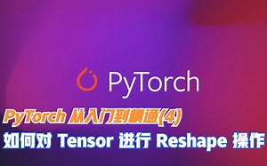 PyTorch 从入门到精通(4)—对 Tensor 进行 Reshape 操作