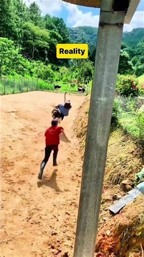 POV: First time trying ostrich riding in Da Lat and the unexpected ending… 😳😂🦤💨
