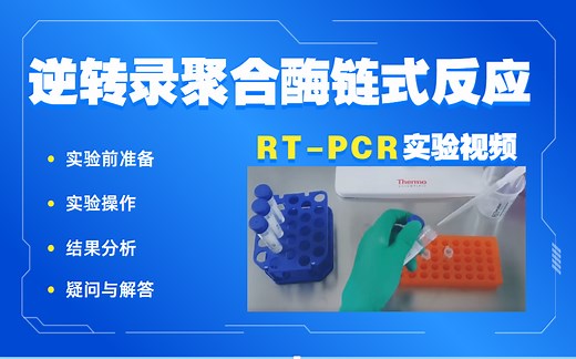 【实验方法】 科研基本功|逆转录聚合酶链式反应(RT-PCR)操作方法全过程教学视频