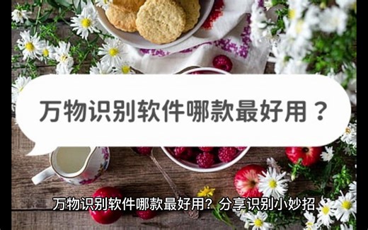 万物识别软件哪款最好用？分享识别小妙招