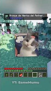 let go of me #minecraft