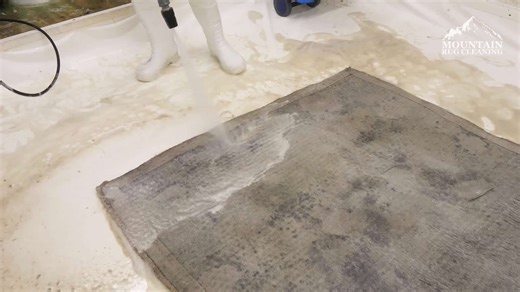 Rug cleaning gone wrong!