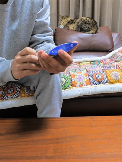 【猫のノミダニ寄生虫対策】ネクスガードキャットコンボとフロントラインの違い🐈多頭飼い必見の低価格ジェネリックも紹介 #01