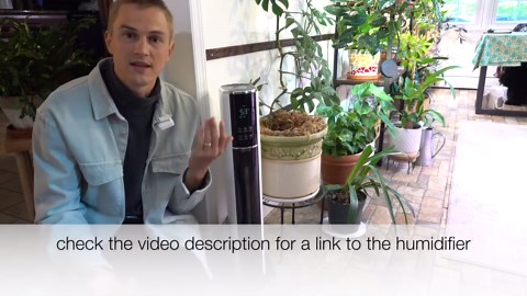 Best humidifier for plants & bedroom? Review of Kelopa ultrasonic humidifier