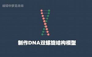 学习：HTML&CSS制作DNA双螺旋结构模型