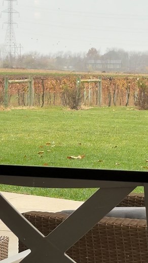 Sally Yates on Reels