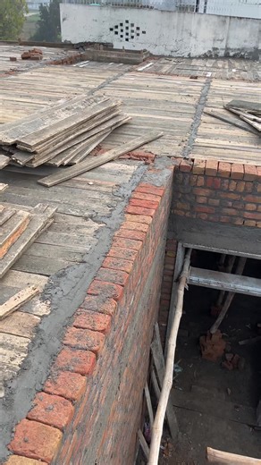 Understanding Crow Behavior: Insights and Analysis