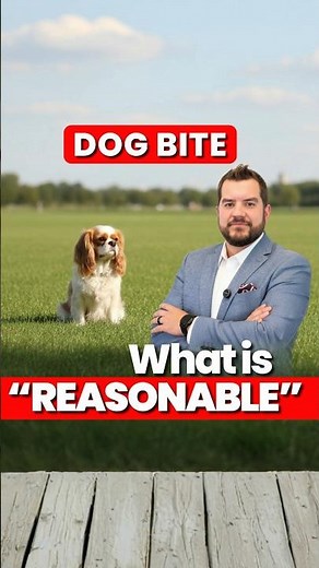 Understanding Dog Bite Law Indiana: The Standard of Reasonable Care