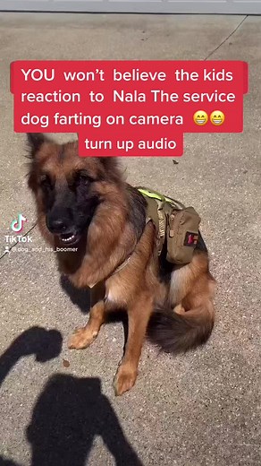 Kids React to Dog Farting on Camera