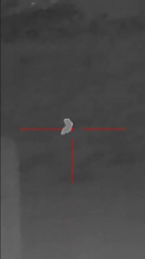 Atn Thor / Mars LTV+ 4-12 640 Thermal scope