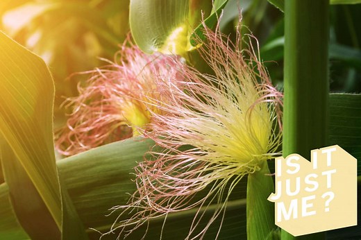 Should You Get Rid of Your Armpit Hair?