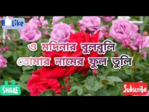 o modinar bulbuli tomar namer ful tuli|bangla gojol| bangla lyrics❤