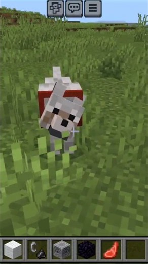 I Hit My Wolf… But He Stayed Loyal! 😭🐺 | Minecraft