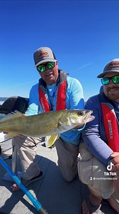 Butterfly Blades & Bottom Bouncers 👌🎣 #TeamNorthlandTackle | Northland Fishing Tackle