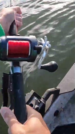 Fresh Bait Makes The Difference